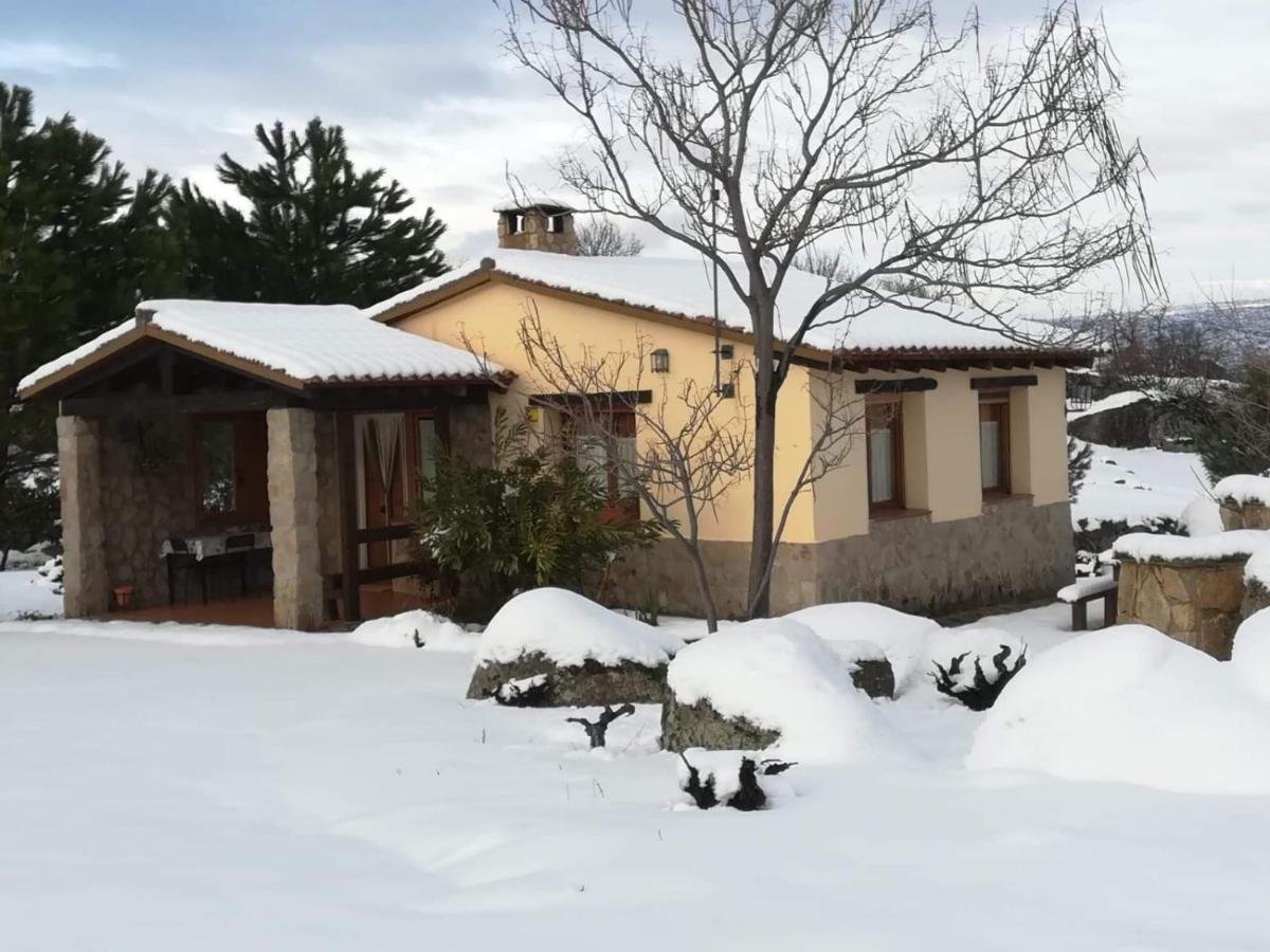 Amarilla Holiday home